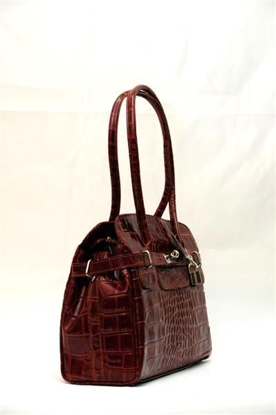 ������� �������� �����